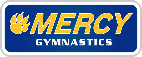 Mercy High School Gymnastics web store